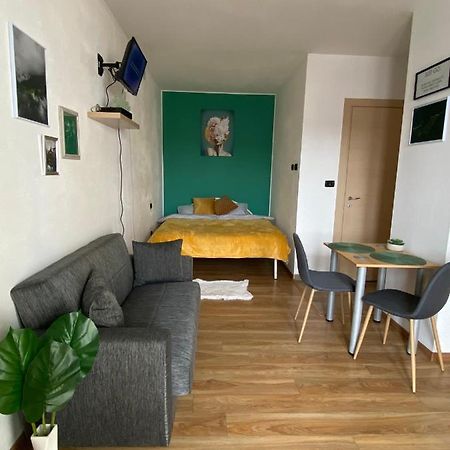Green Studio Timişoara Buitenkant foto