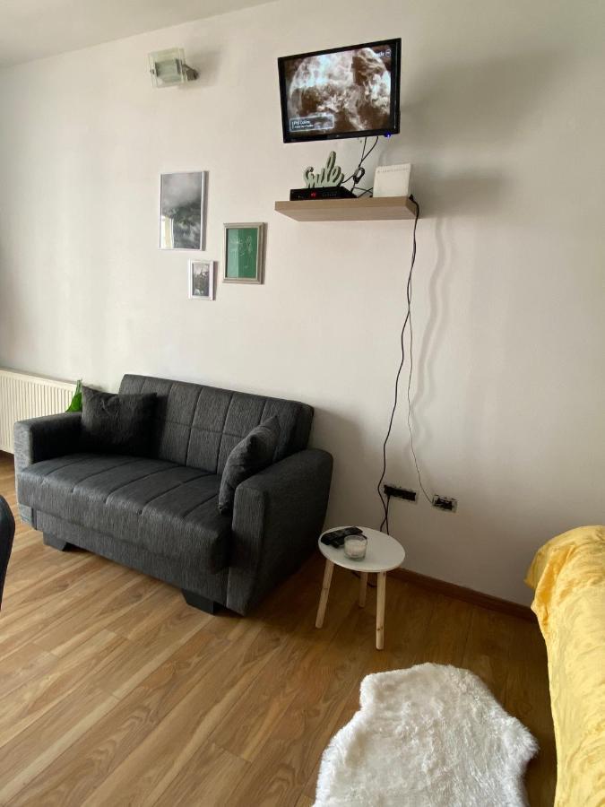 Green Studio Timişoara Buitenkant foto