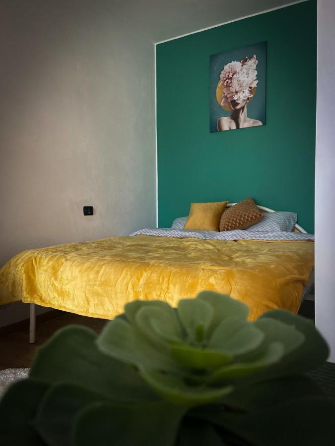 Green Studio Timişoara Buitenkant foto